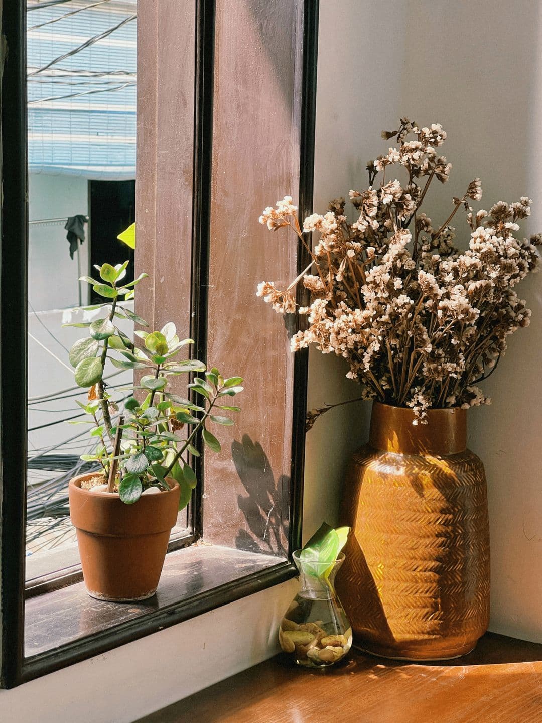 Flores secas num vaso de cerâmica ao lado de uma janela ensolarada.